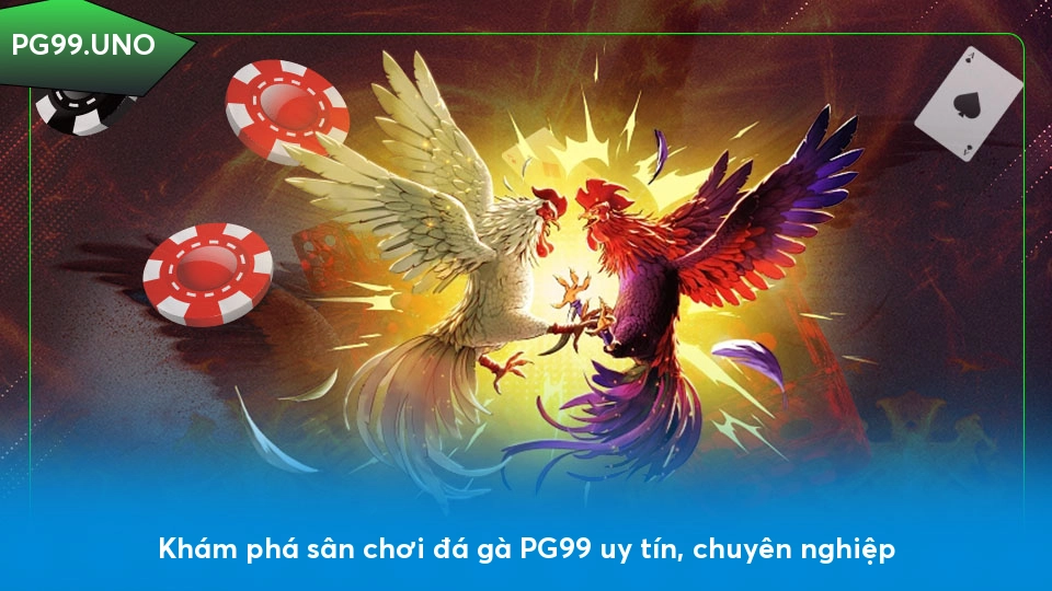 Khám phá sân chơi đá gà PG99 uy tín, chuyên nghiệp