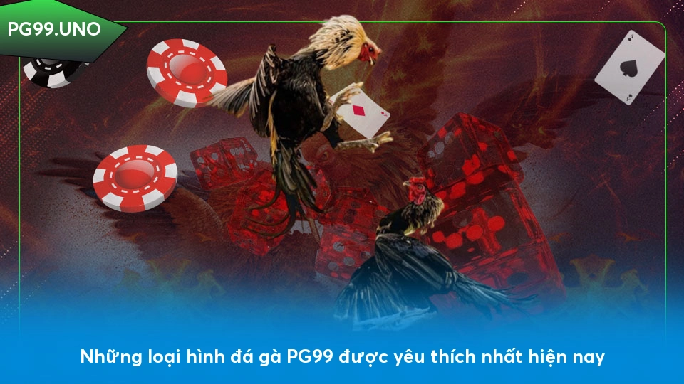 Những loại hình đá gà PG99 được yêu thích nhất hiện nay