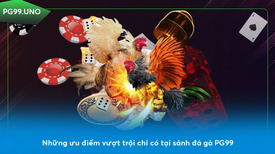 Những ưu điểm vượt trội chỉ có tại sảnh đá gà PG99
